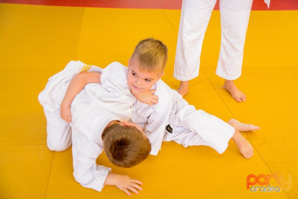 Demonstratia micilor Judoka, Liceul cu Program Sportiv