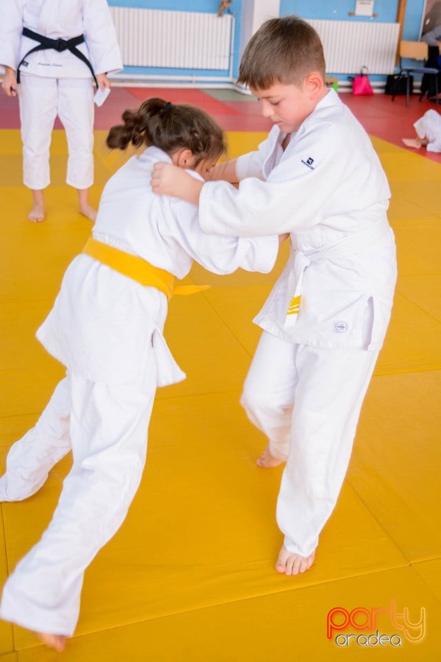 Demonstratia micilor Judoka, Liceul cu Program Sportiv