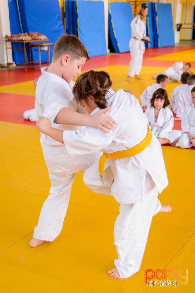 Demonstratia micilor Judoka, Liceul cu Program Sportiv