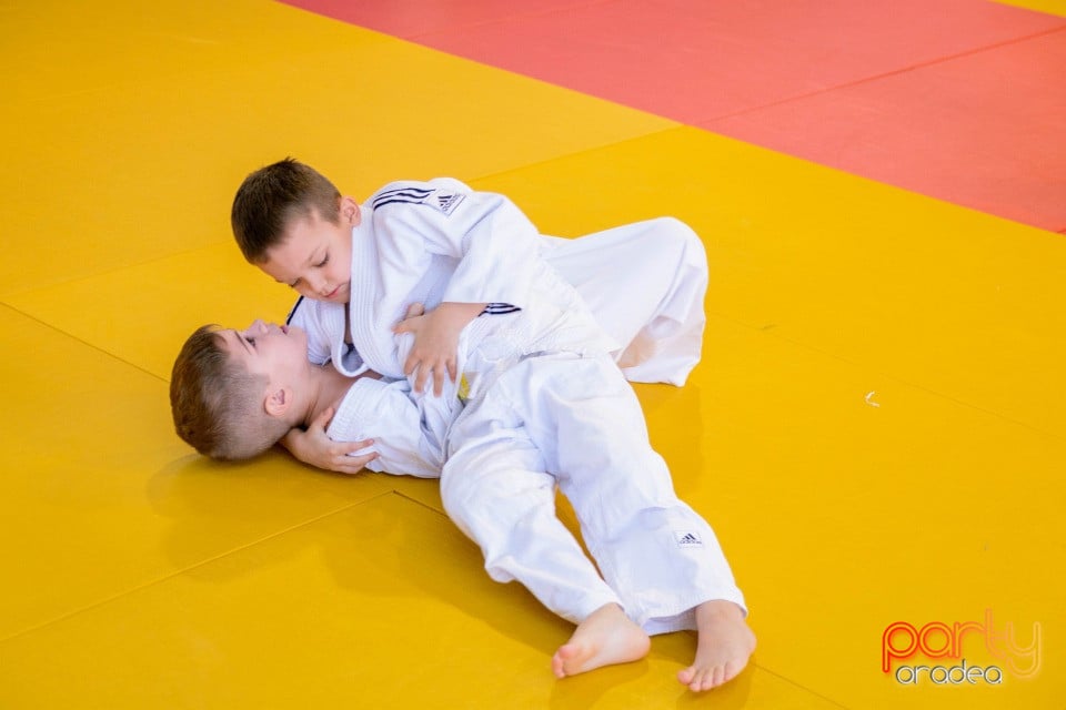 Demonstratia micilor Judoka, Liceul cu Program Sportiv