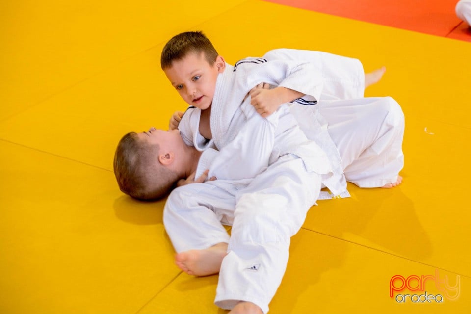 Demonstratia micilor Judoka, Liceul cu Program Sportiv