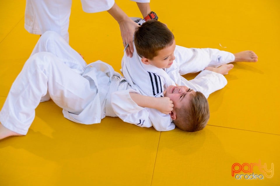 Demonstratia micilor Judoka, Liceul cu Program Sportiv