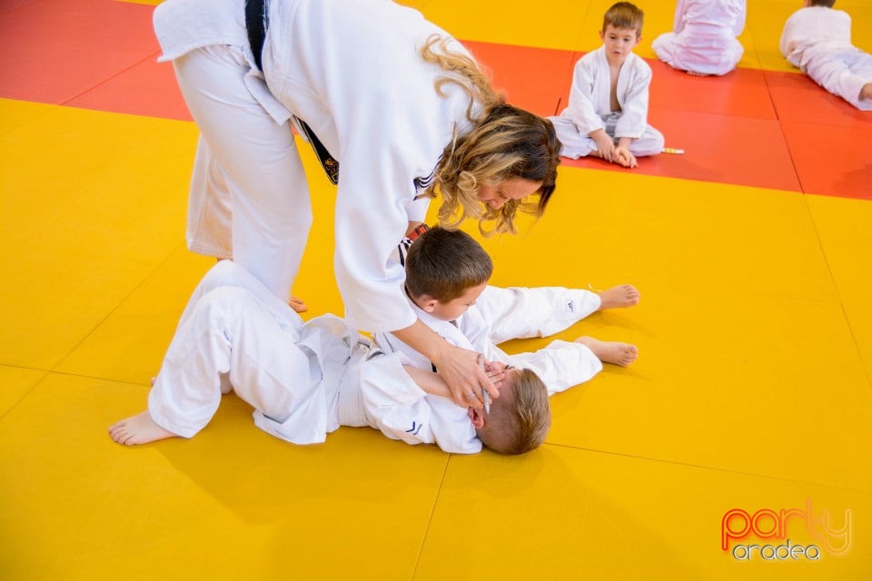 Demonstratia micilor Judoka, Liceul cu Program Sportiv