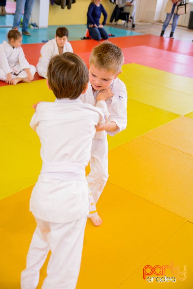 Demonstratia micilor Judoka, Liceul cu Program Sportiv