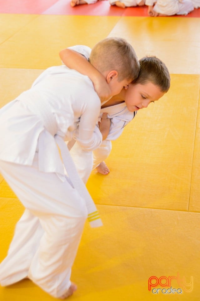 Demonstratia micilor Judoka, Liceul cu Program Sportiv