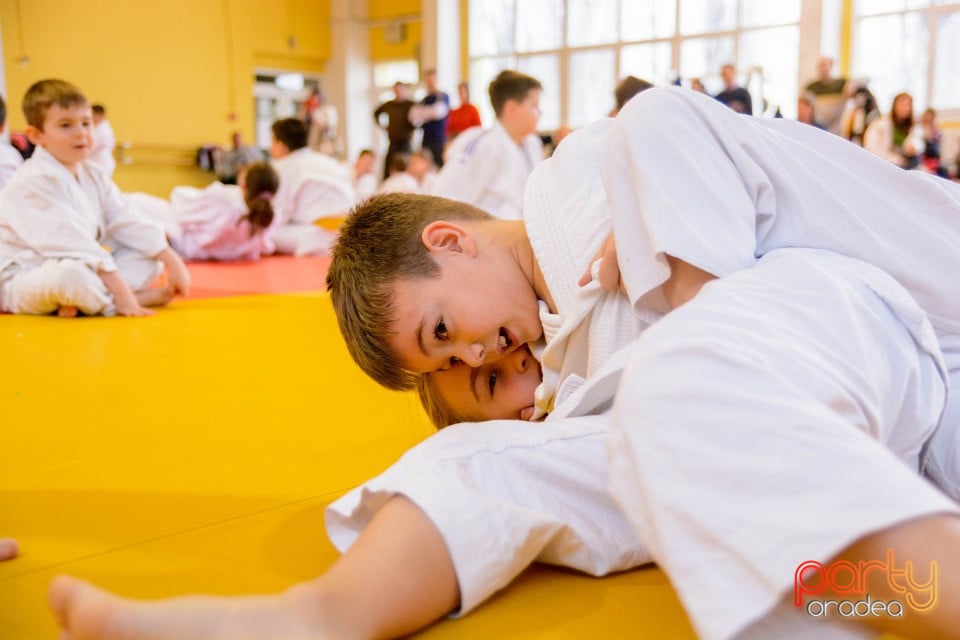 Demonstratia micilor Judoka, Liceul cu Program Sportiv