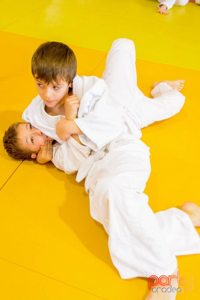 Demonstratia micilor Judoka, Liceul cu Program Sportiv