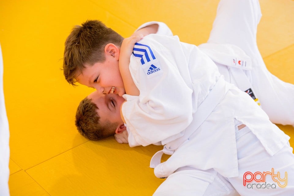 Demonstratia micilor Judoka, Liceul cu Program Sportiv