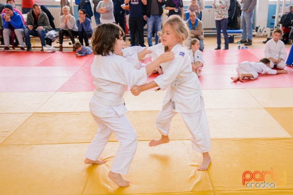 Demonstratia micilor Judoka, Liceul cu Program Sportiv