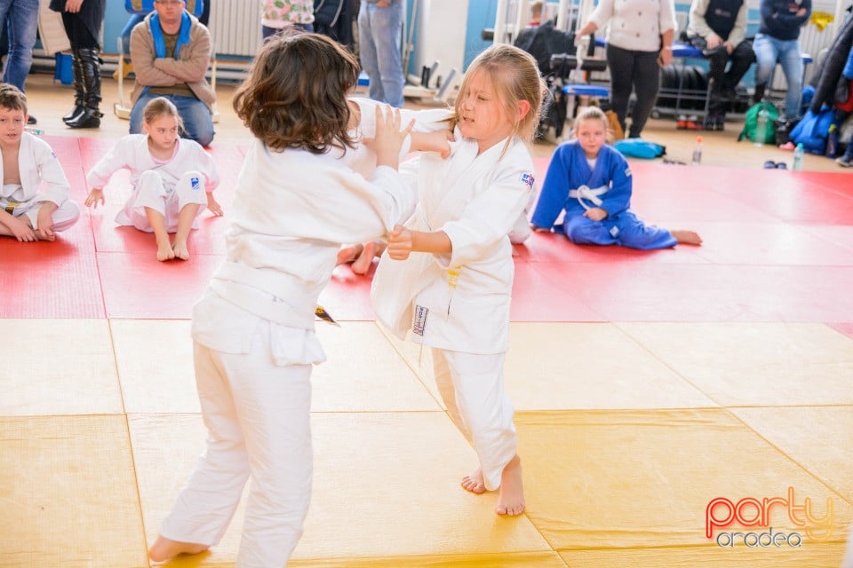 Demonstratia micilor Judoka, Liceul cu Program Sportiv