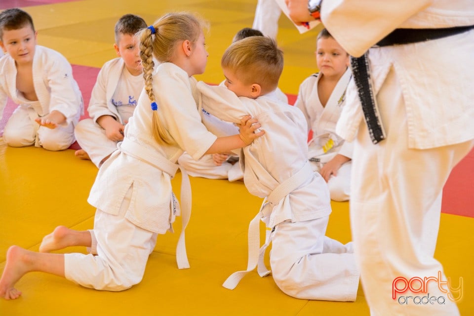 Demonstratia micilor Judoka, Liceul cu Program Sportiv