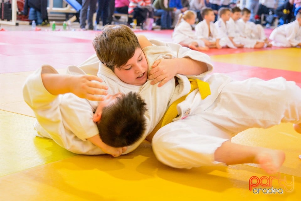 Demonstratia micilor Judoka, Liceul cu Program Sportiv