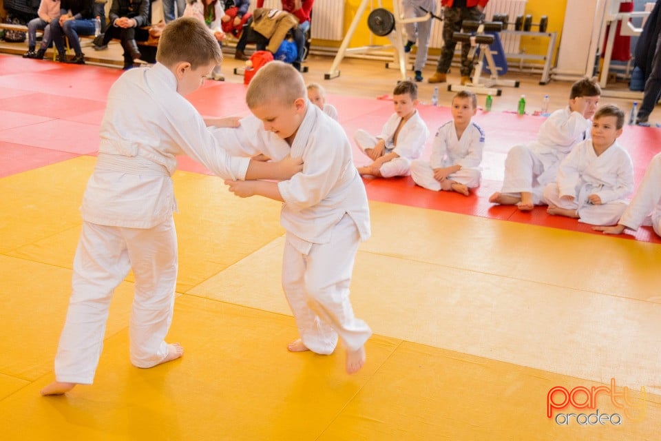 Demonstratia micilor Judoka, Liceul cu Program Sportiv