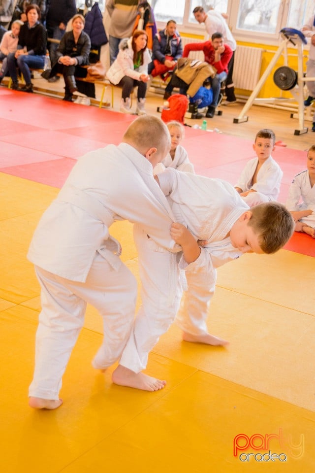 Demonstratia micilor Judoka, Liceul cu Program Sportiv