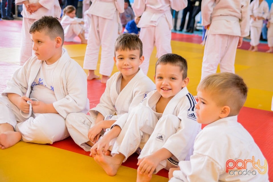 Demonstratia micilor Judoka, Liceul cu Program Sportiv