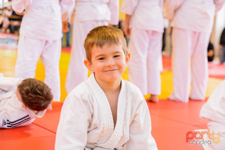 Demonstratia micilor Judoka, Liceul cu Program Sportiv