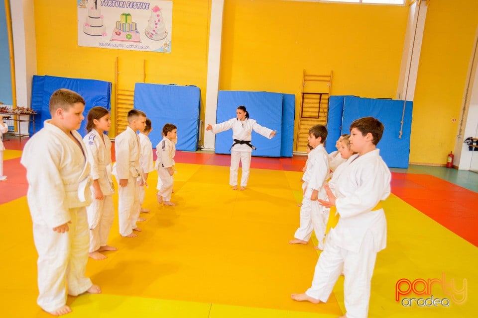 Demonstratia micilor Judoka, Liceul cu Program Sportiv