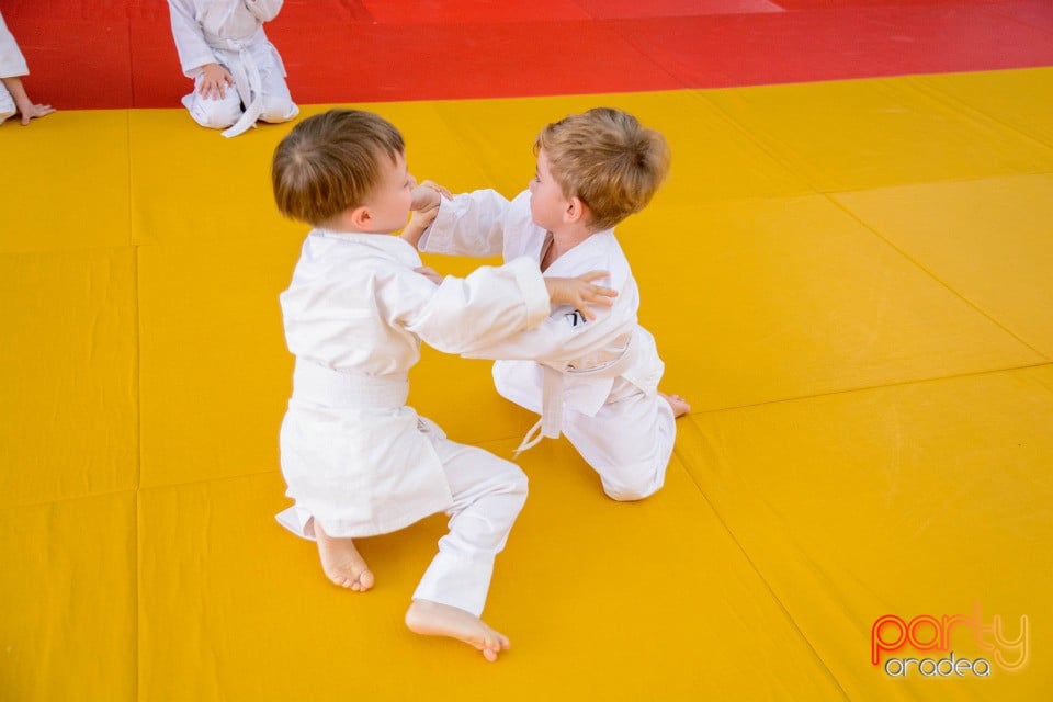 Demonstratia micilor Judoka, Liceul cu Program Sportiv