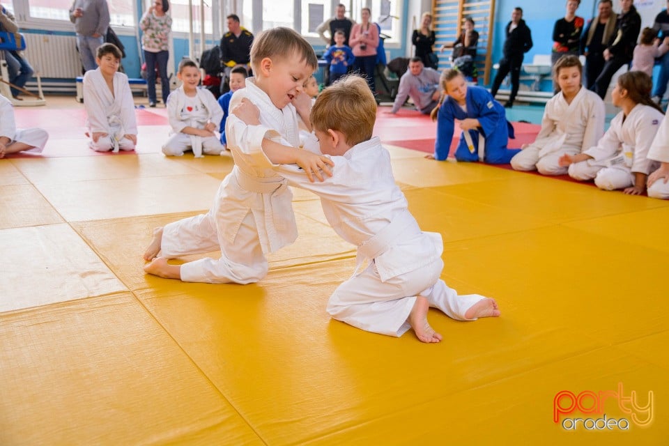 Demonstratia micilor Judoka, Liceul cu Program Sportiv