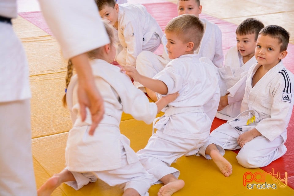 Demonstratia micilor Judoka, Liceul cu Program Sportiv