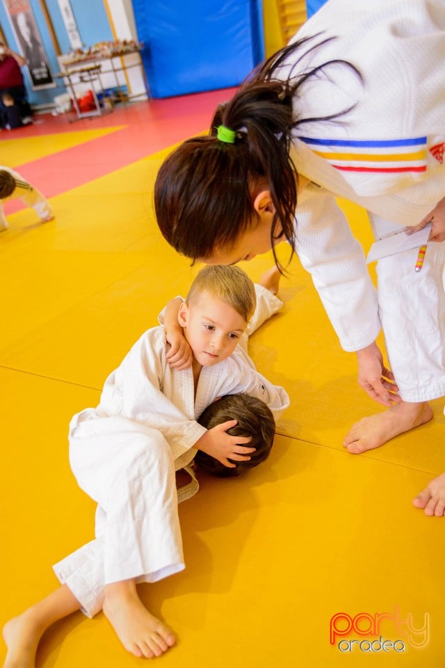 Demonstratia micilor Judoka, Liceul cu Program Sportiv