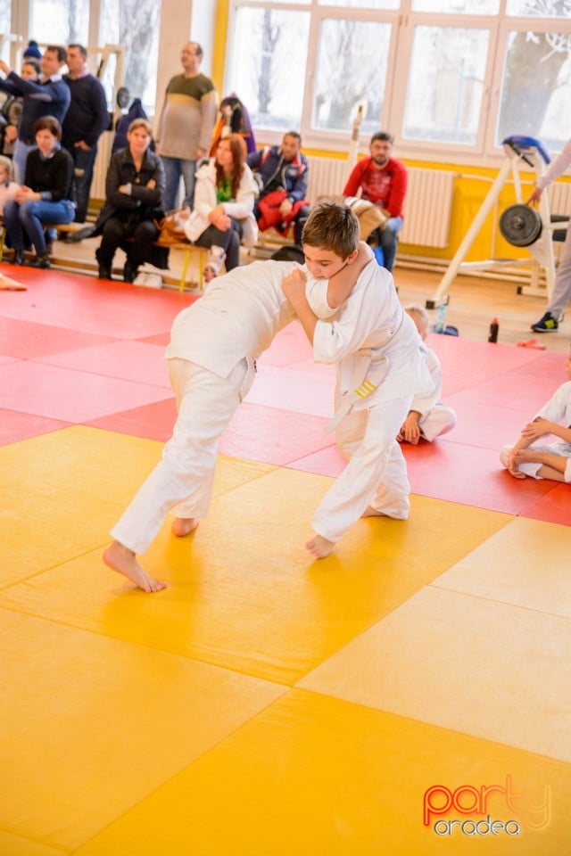 Demonstratia micilor Judoka, Liceul cu Program Sportiv