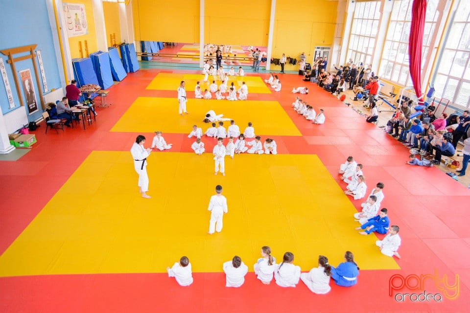 Demonstratia micilor Judoka, Liceul cu Program Sportiv