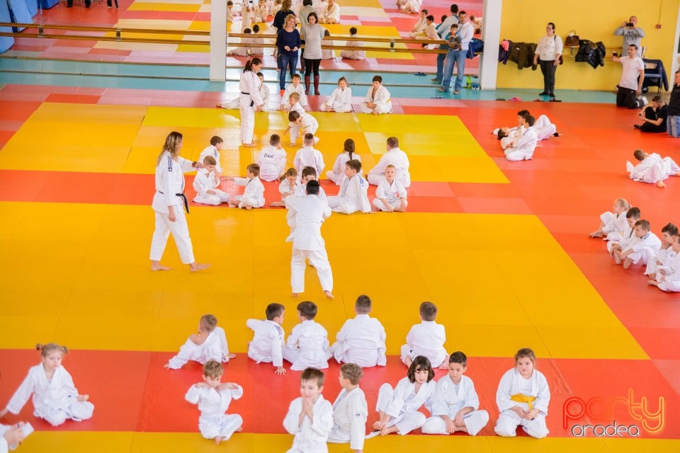 Demonstratia micilor Judoka, Liceul cu Program Sportiv