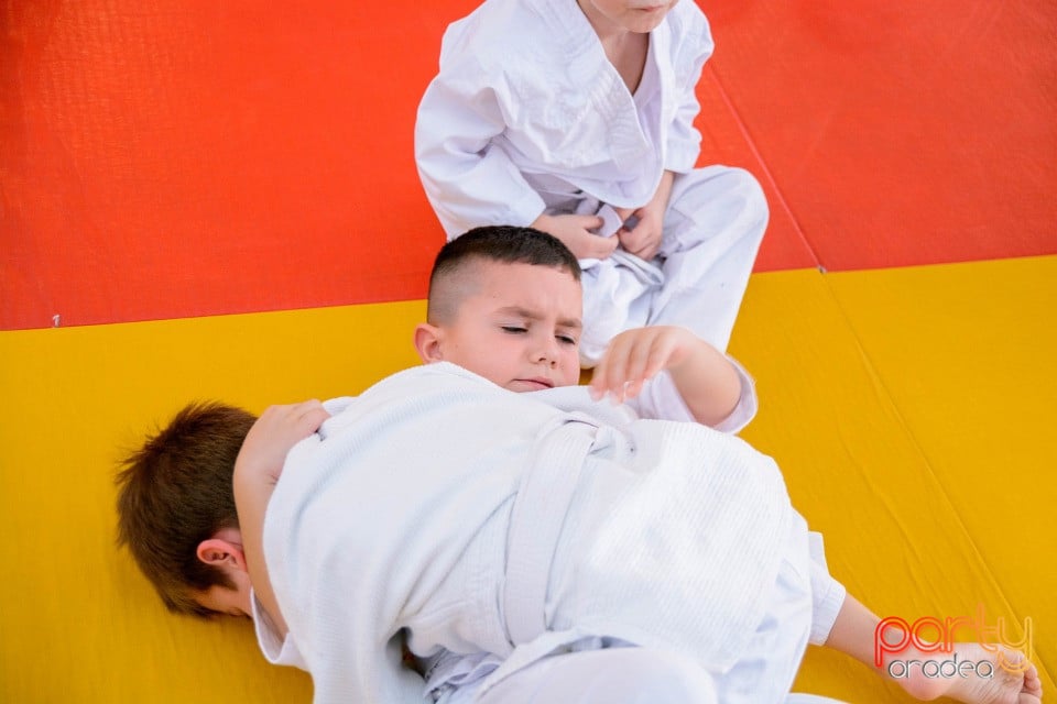 Demonstratia micilor Judoka, Liceul cu Program Sportiv