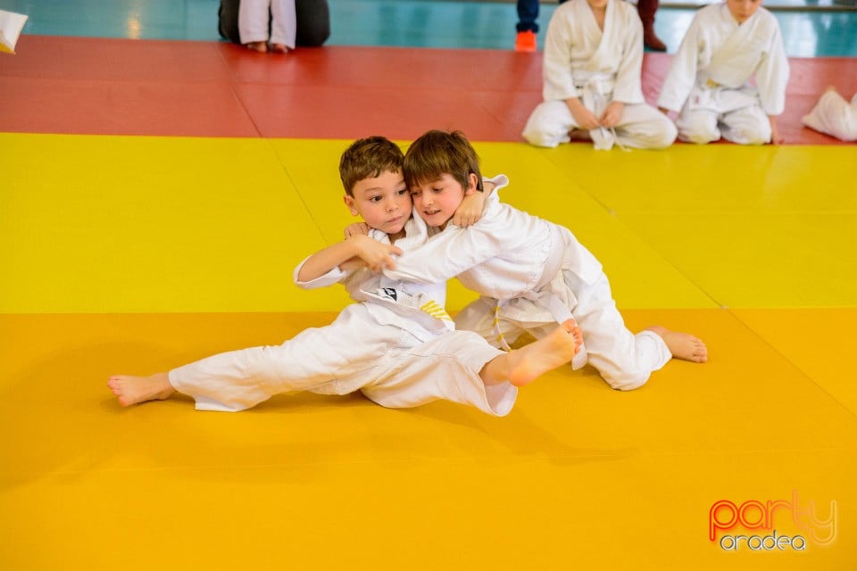 Demonstratia micilor Judoka, Liceul cu Program Sportiv