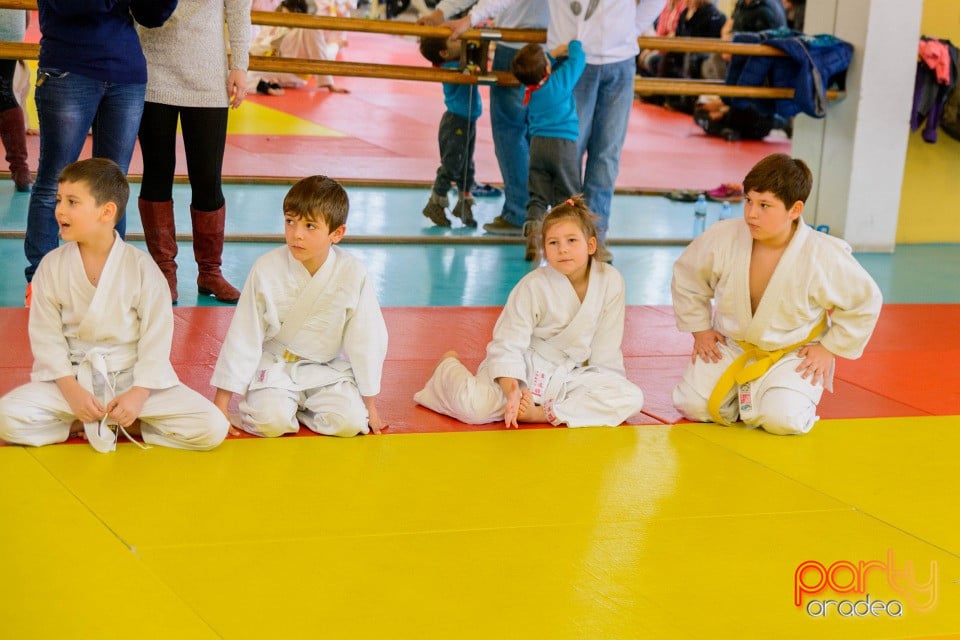 Demonstratia micilor Judoka, Liceul cu Program Sportiv