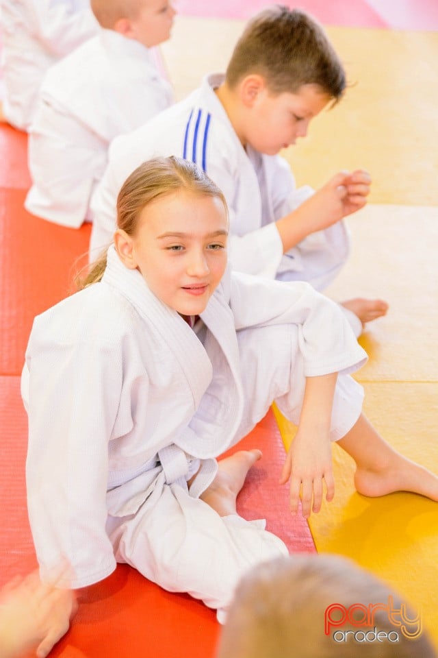 Demonstratia micilor Judoka, Liceul cu Program Sportiv