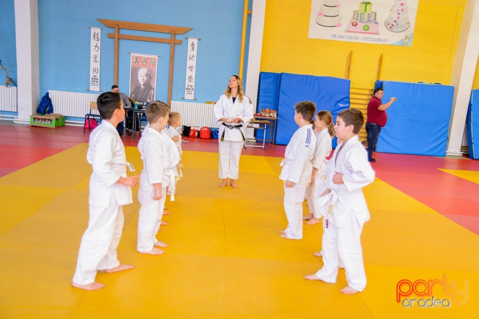 Demonstratia micilor Judoka, Liceul cu Program Sportiv