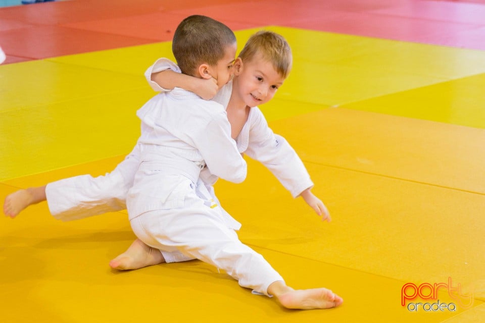 Demonstratia micilor Judoka, Liceul cu Program Sportiv