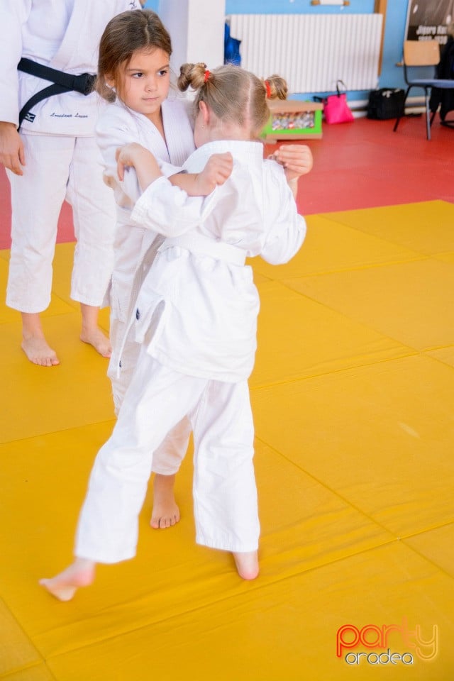 Demonstratia micilor Judoka, Liceul cu Program Sportiv