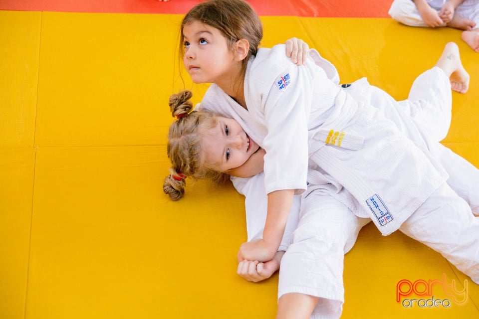 Demonstratia micilor Judoka, Liceul cu Program Sportiv