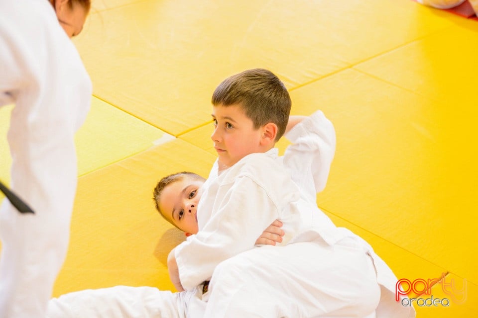 Demonstratia micilor Judoka, Liceul cu Program Sportiv