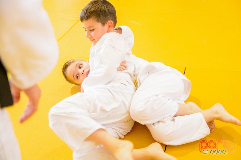 Demonstratia micilor Judoka, Liceul cu Program Sportiv