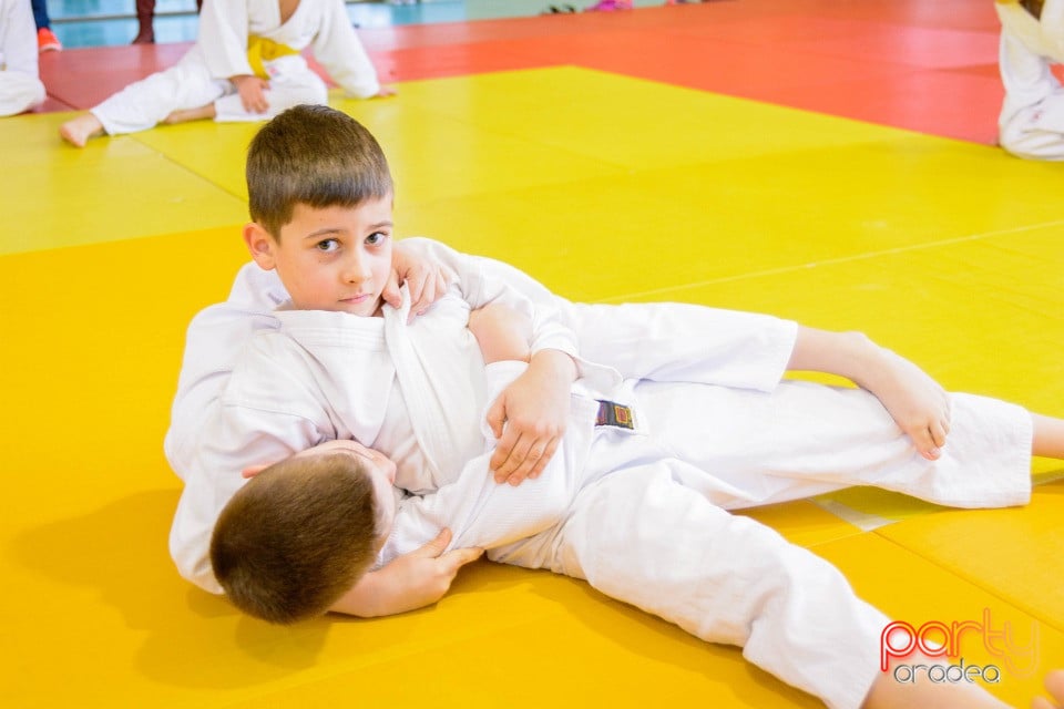 Demonstratia micilor Judoka, Liceul cu Program Sportiv