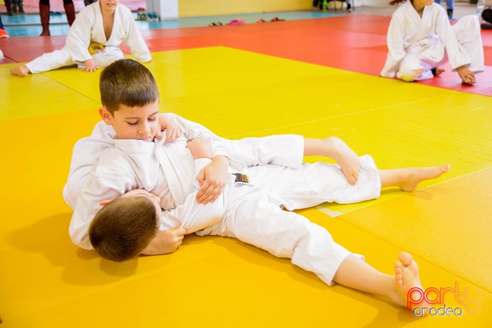 Demonstratia micilor Judoka, Liceul cu Program Sportiv