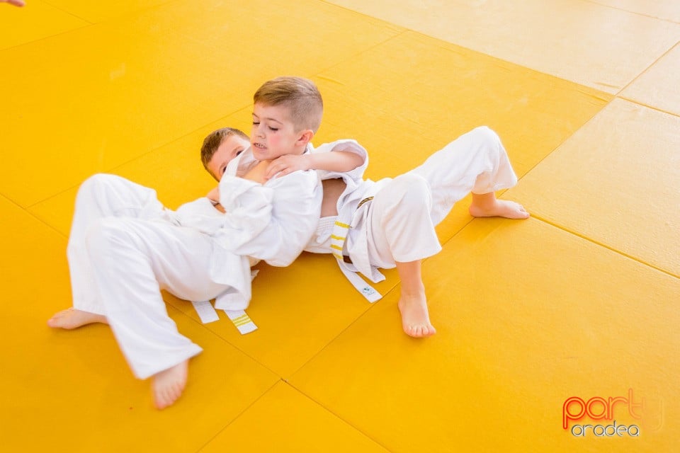 Demonstratia micilor Judoka, Liceul cu Program Sportiv