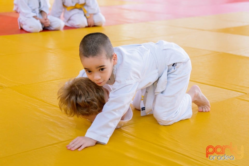 Demonstratia micilor Judoka, Liceul cu Program Sportiv