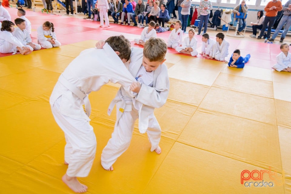 Demonstratia micilor Judoka, Liceul cu Program Sportiv