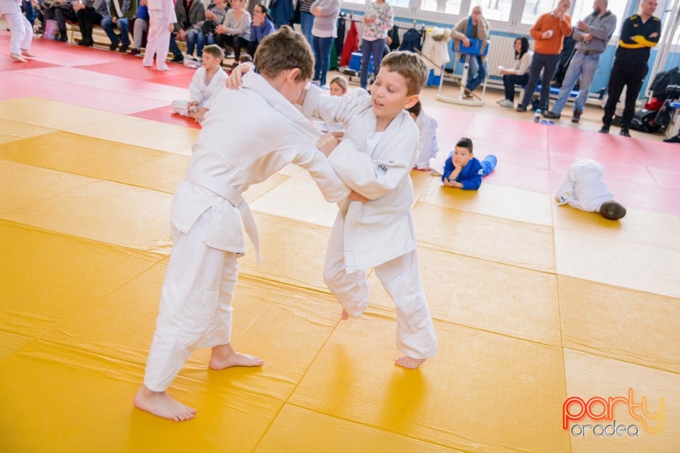 Demonstratia micilor Judoka, Liceul cu Program Sportiv