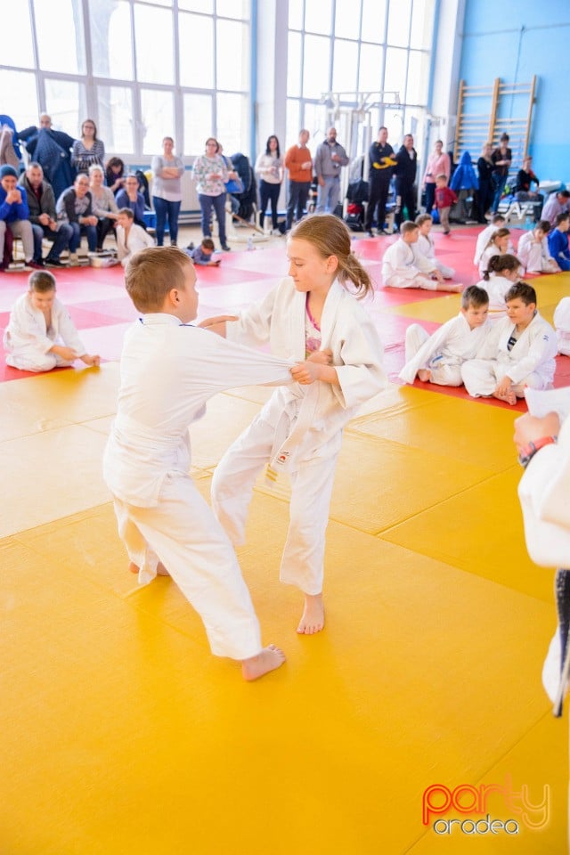 Demonstratia micilor Judoka, Liceul cu Program Sportiv