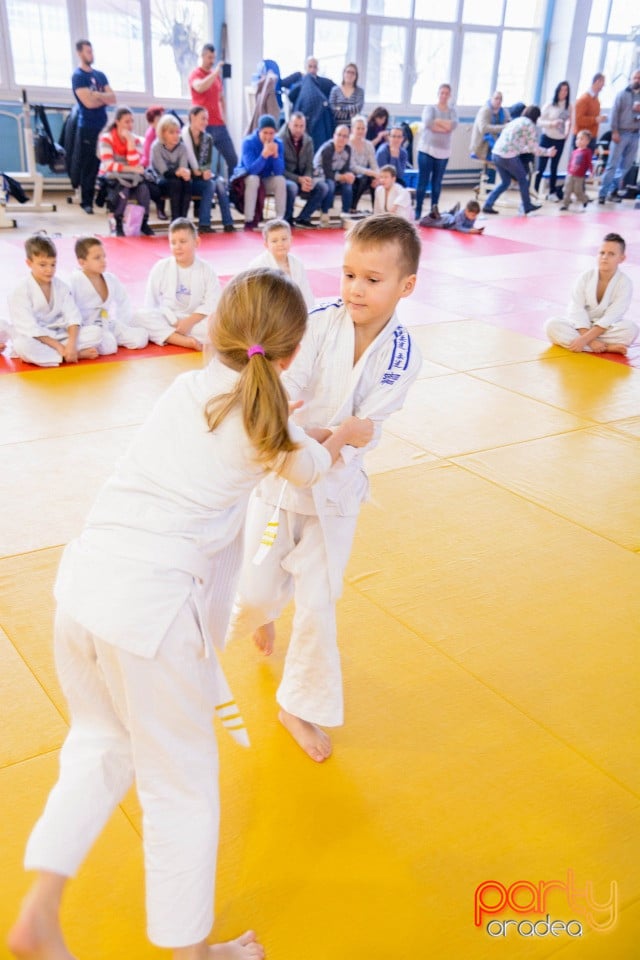 Demonstratia micilor Judoka, Liceul cu Program Sportiv