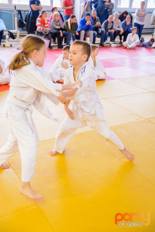 Demonstratia micilor Judoka, Liceul cu Program Sportiv