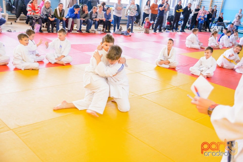 Demonstratia micilor Judoka, Liceul cu Program Sportiv