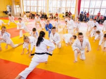 Demonstratia micilor Judoka