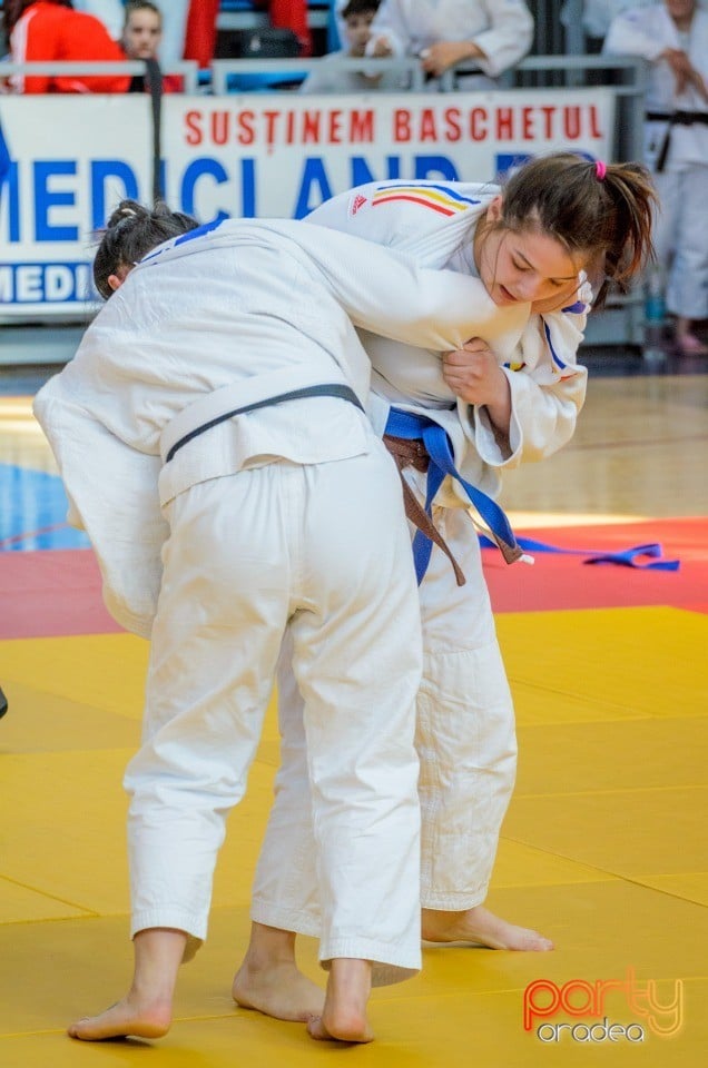 Demonstratia micilor Judoka, Arena Antonio Alexe